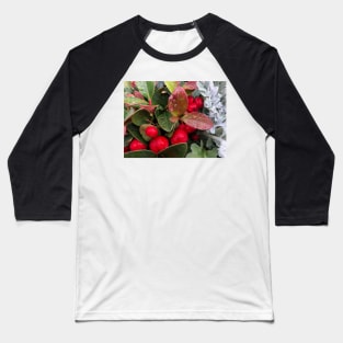 Peaceful Red Christmas Berries in the Winter Rain Baseball T-Shirt